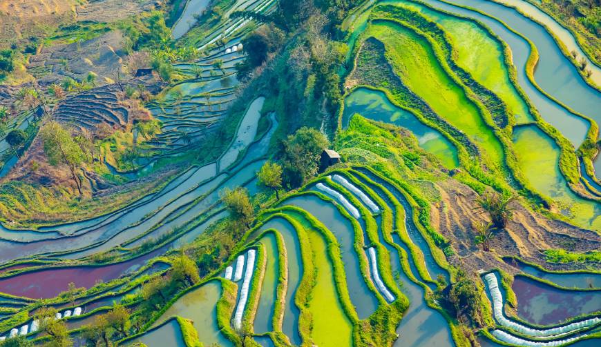 宝妈必备神器：凤县产品视频拍摄轻松育儿好帮手